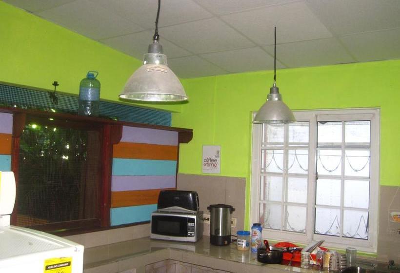 Surfari Bocas B&b | Bocas del Toro | Bocas del Toro | Panamá 7