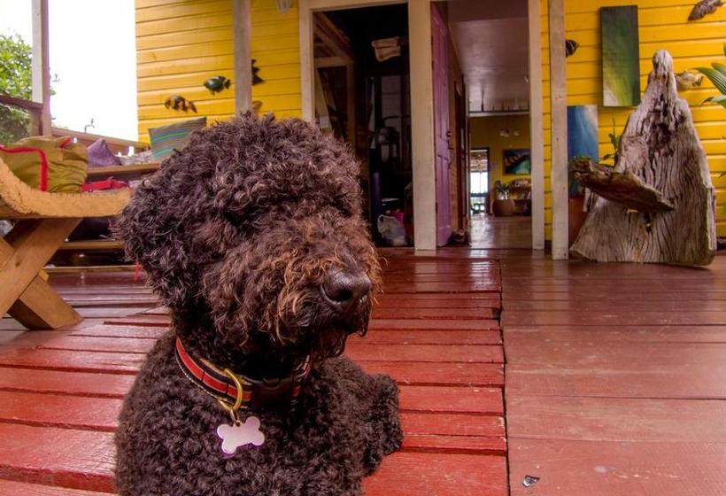 Barrbra B&b | Bocas del Toro | Bocas del Toro | Panamá 1