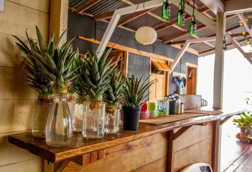 Barrbra B&b | Bocas del Toro | Bocas del Toro | Panamá 16