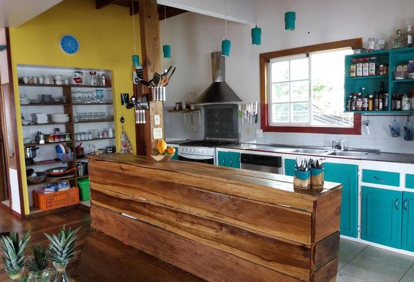 Barrbra B&b | Bocas del Toro | Bocas del Toro | Panamá 3