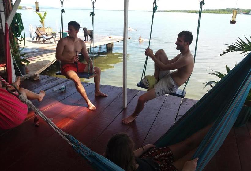 Barrbra B&b | Bocas del Toro | Bocas del Toro | Panamá 5