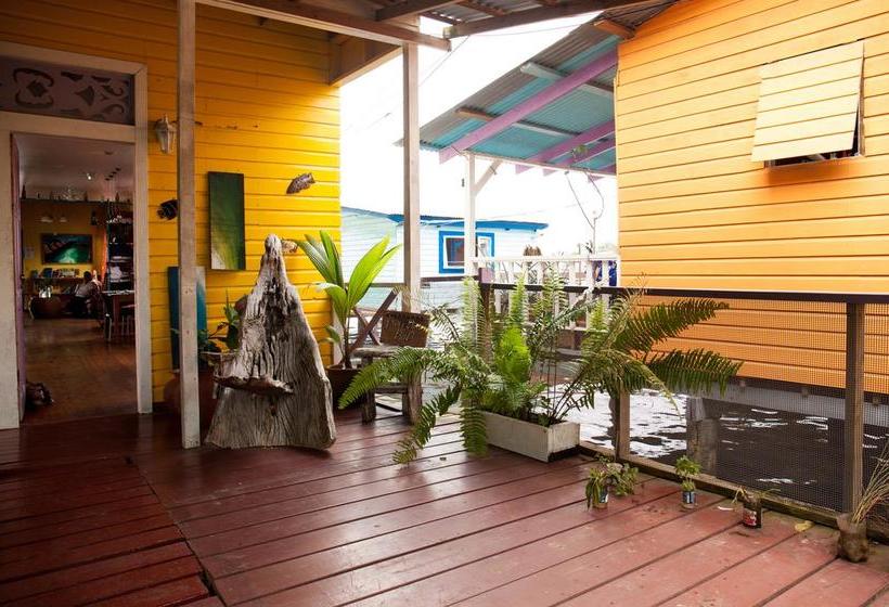 Barrbra B&b | Bocas del Toro | Bocas del Toro | Panamá 6
