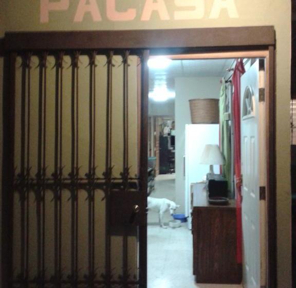 Pacasa Hostel | David | Chiriquí | Panamá 11