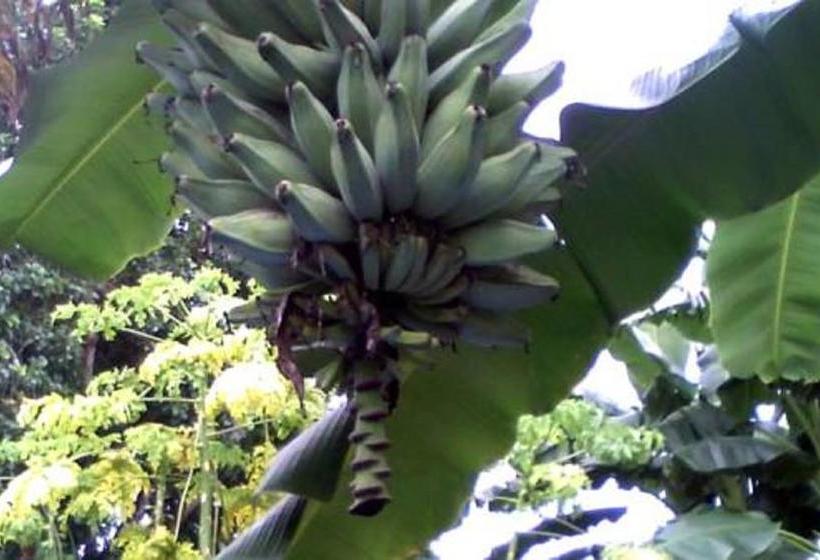 Pacasa Hostel | David | Chiriquí | Panamá 4