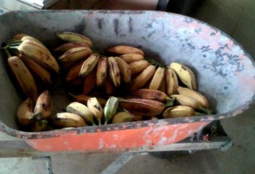 Pacasa Hostel | David | Chiriquí | Panamá 5