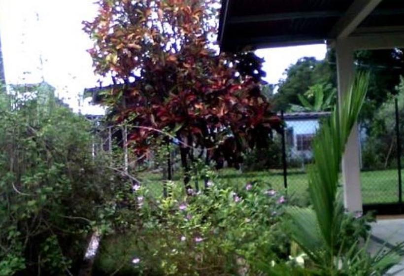 Pacasa Hostel | David | Chiriquí | Panamá 8