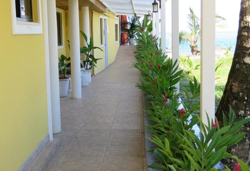 Hostel Mamallena Bocas Del Toro | Bocas del Toro | Bocas del Toro | Panamá 10