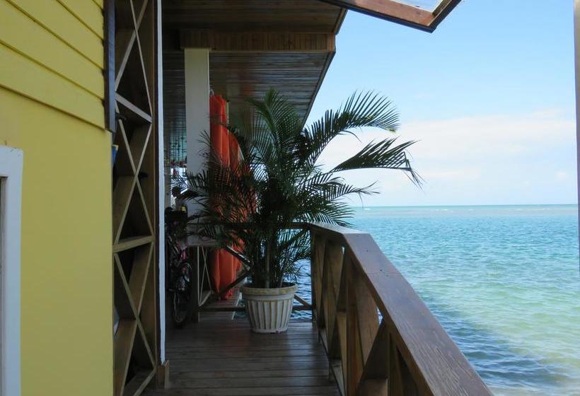 Hostel Mamallena Bocas Del Toro | Bocas del Toro | Bocas del Toro | Panamá 3