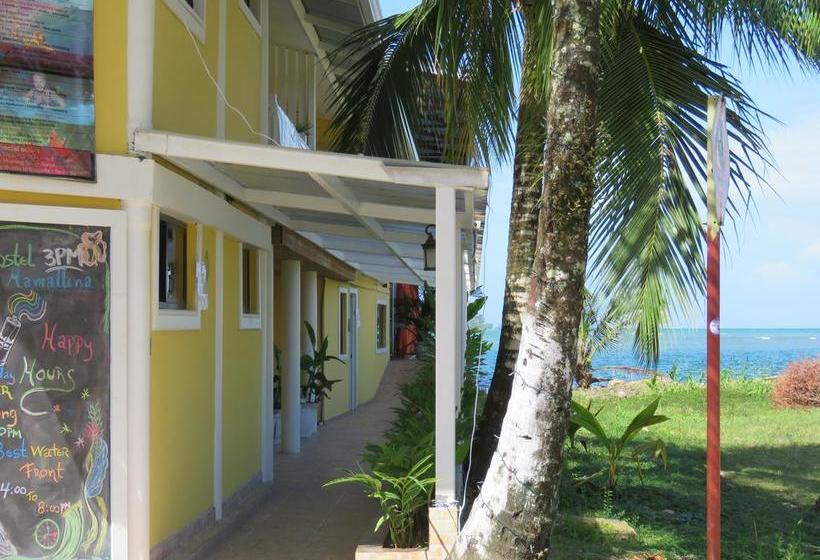 Hostel Mamallena Bocas Del Toro | Bocas del Toro | Bocas del Toro | Panamá 6