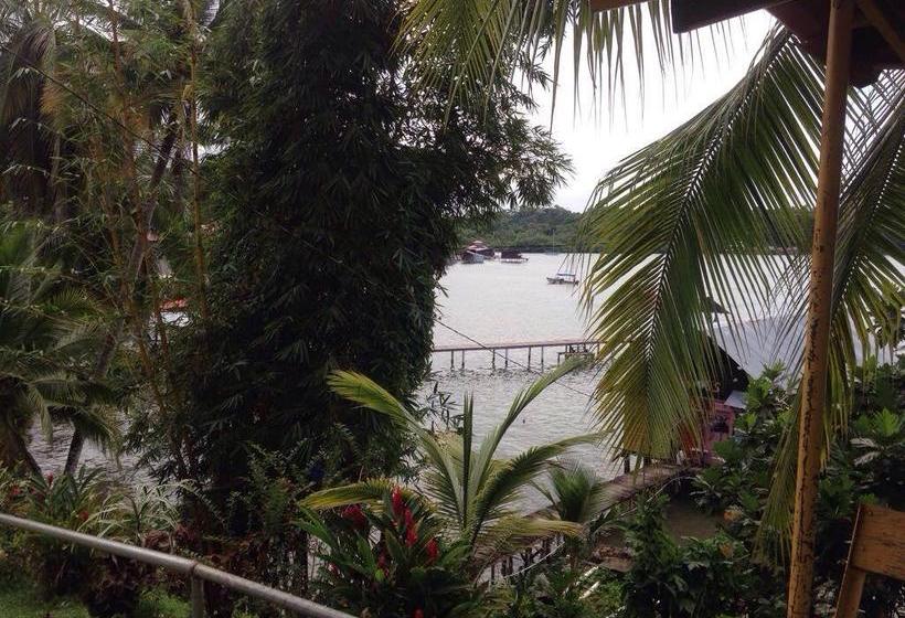 Hotel Ushuaia | Old Bank | Bocas del Toro | Panamá 1