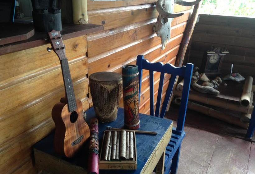 Hotel Ushuaia | Old Bank | Bocas del Toro | Panamá 13