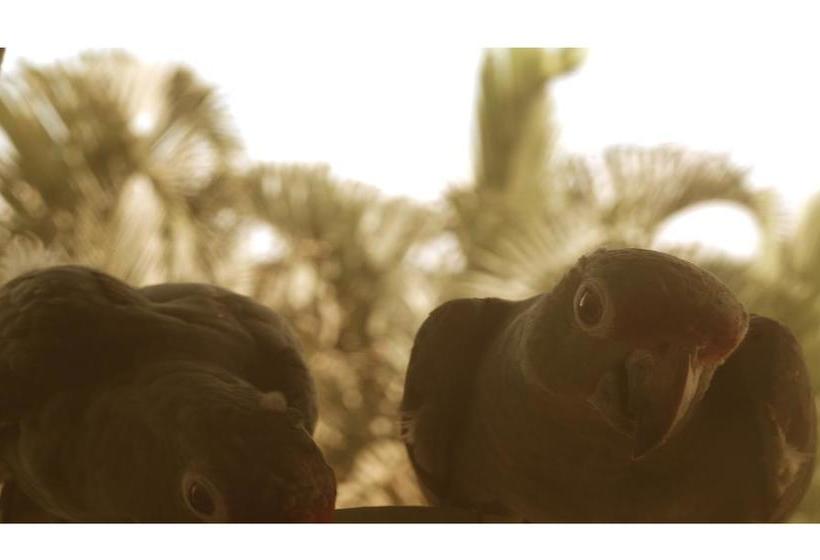 Hotel Ushuaia | Old Bank | Bocas del Toro | Panamá 16