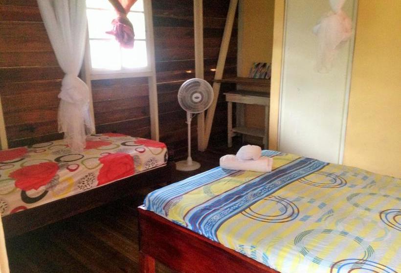 Hotel Ushuaia | Old Bank | Bocas del Toro | Panamá 17