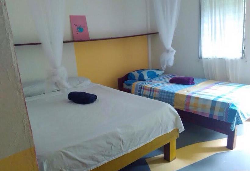 Hotel Ushuaia | Old Bank | Bocas del Toro | Panamá 18