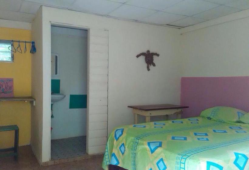 Hotel Ushuaia | Old Bank | Bocas del Toro | Panamá 20