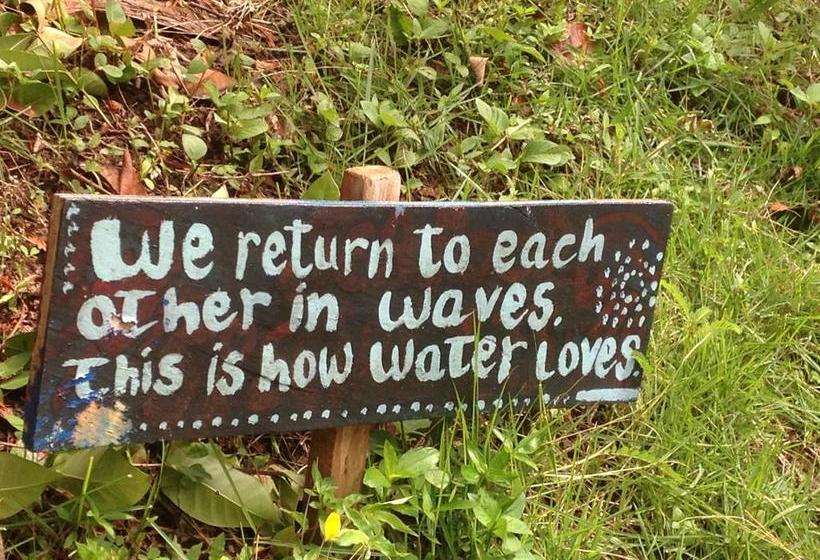 Hotel Ushuaia | Old Bank | Bocas del Toro | Panamá 6