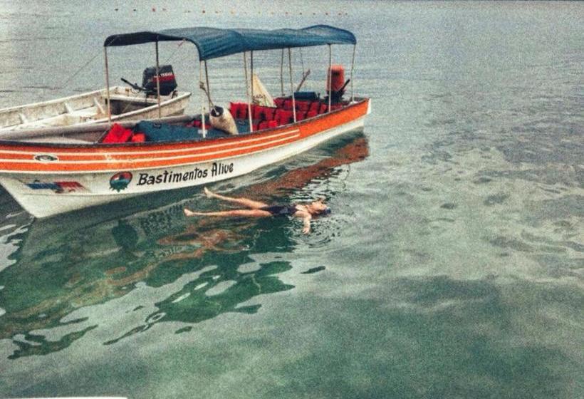 Hotel Ushuaia | Old Bank | Bocas del Toro | Panamá 8