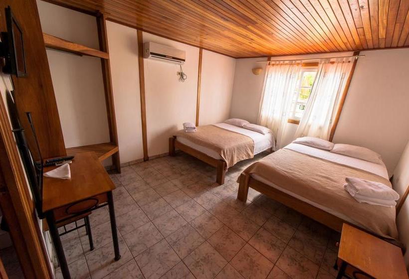 Hotel Posada Los Delfines | Bocas del Toro | Bocas del Toro | Panamá 11