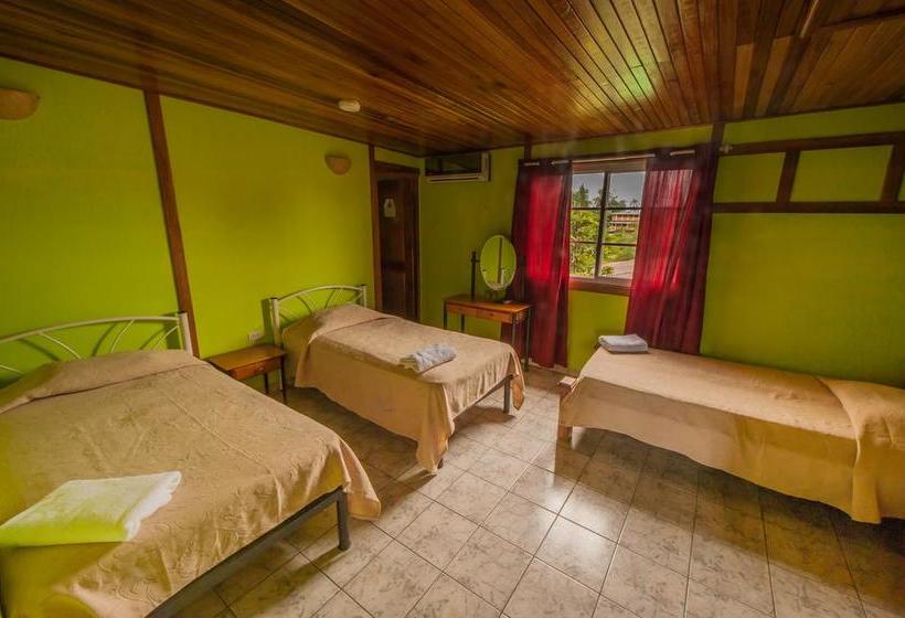 Hotel Posada Los Delfines | Bocas del Toro | Bocas del Toro | Panamá 13