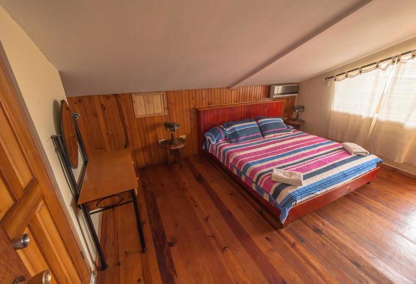 Hotel Posada Los Delfines | Bocas del Toro | Bocas del Toro | Panamá 14