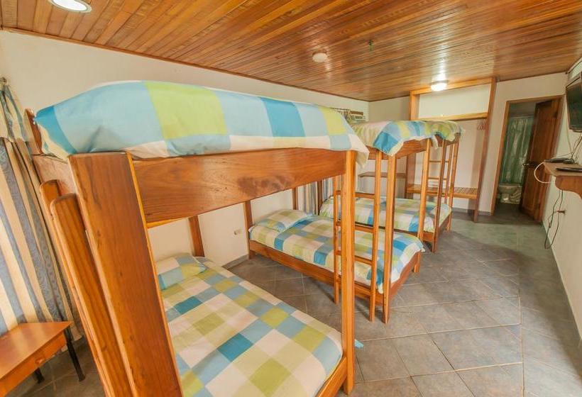 Hotel Posada Los Delfines | Bocas del Toro | Bocas del Toro | Panamá 15