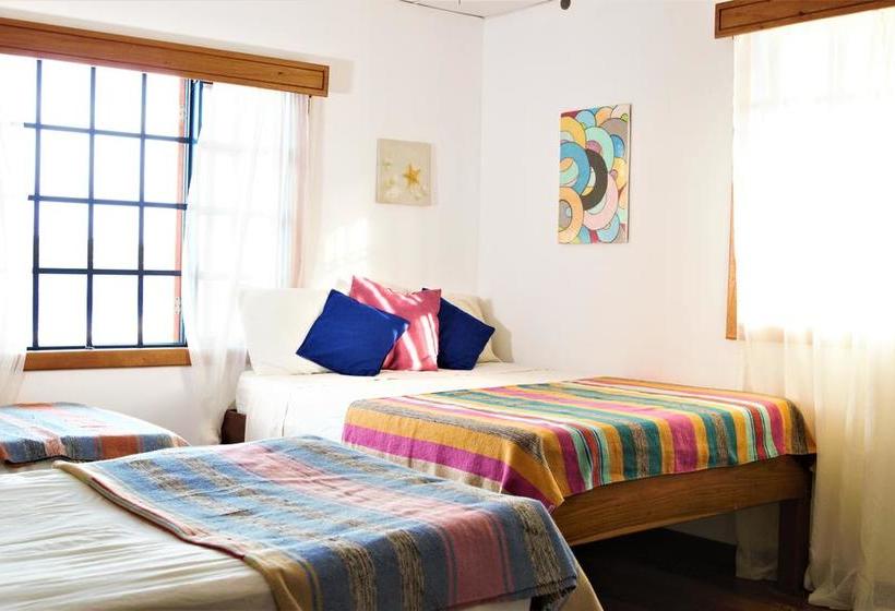 Albergue Hostal Del Mar | Bocas del Toro | Bocas del Toro | Panamá