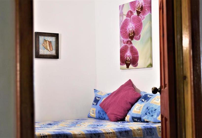 Albergue Hostal Del Mar | Bocas del Toro | Bocas del Toro | Panamá 12