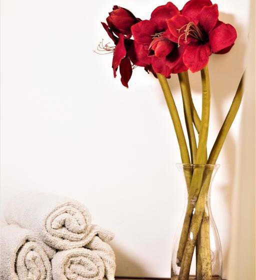 Albergue Hostal Del Mar | Bocas del Toro | Bocas del Toro | Panamá 17