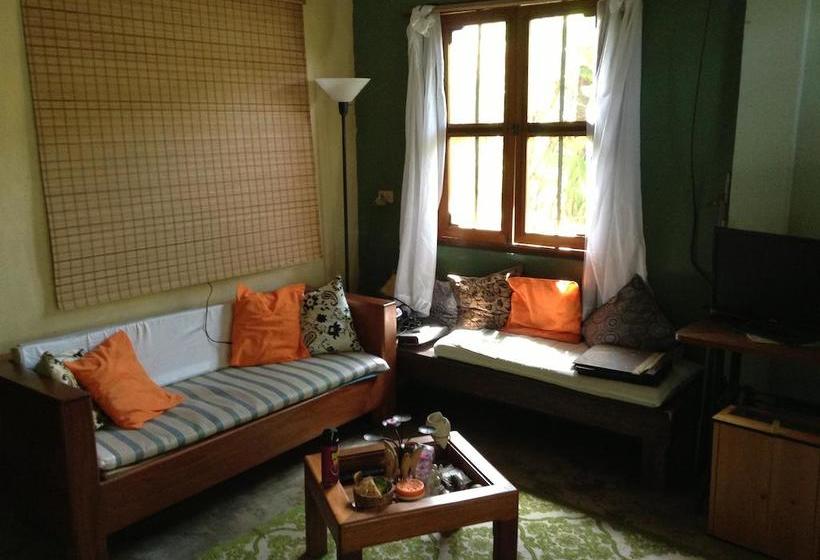 Hotel Del Parque | Bocas del Toro | Bocas del Toro | Panamá 13