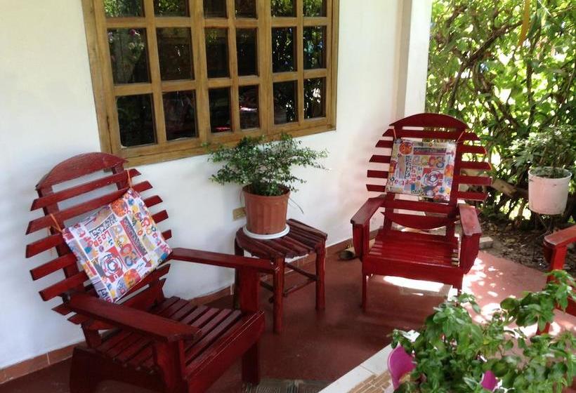 Hotel Del Parque | Bocas del Toro | Bocas del Toro | Panamá 14