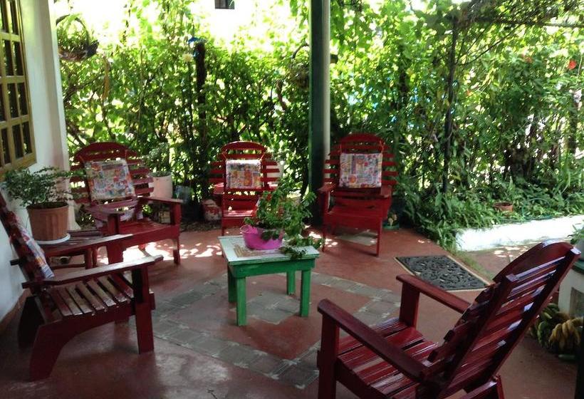 Hotel Del Parque | Bocas del Toro | Bocas del Toro | Panamá 15