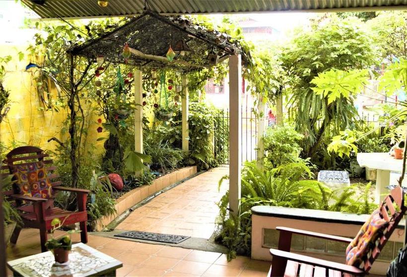 Hotel Del Parque | Bocas del Toro | Bocas del Toro | Panamá 2