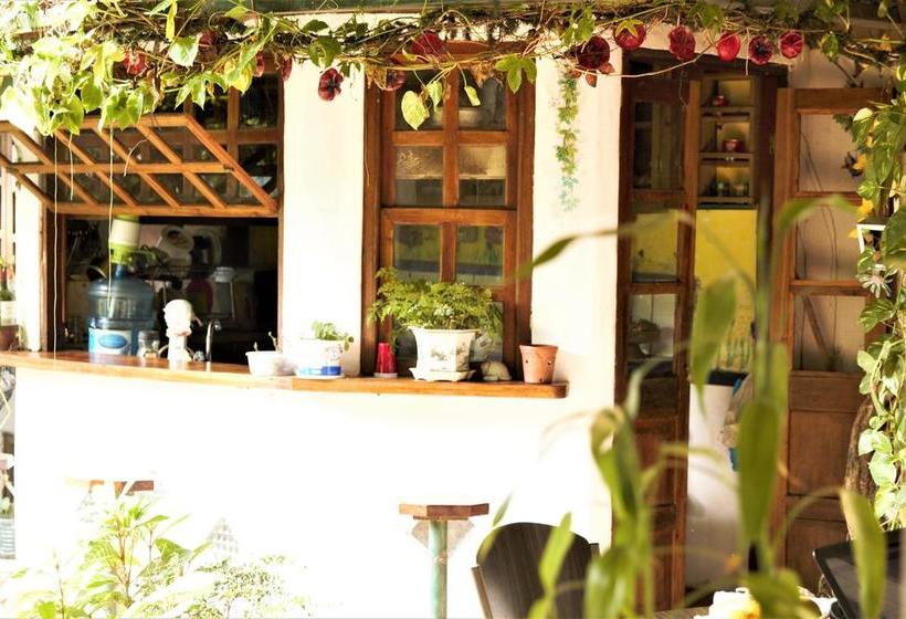 Hotel Del Parque | Bocas del Toro | Bocas del Toro | Panamá 5