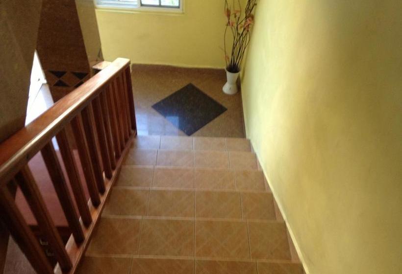 Hotel Don Chicho | Bocas del Toro | Bocas del Toro | Panamá 14