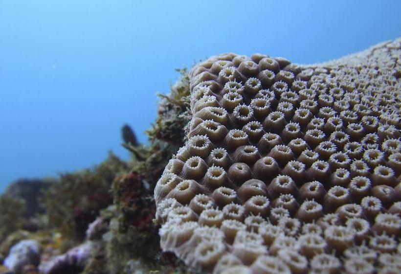 Hotel Casa Max | Bocas del Toro | Bocas del Toro | Panamá 19