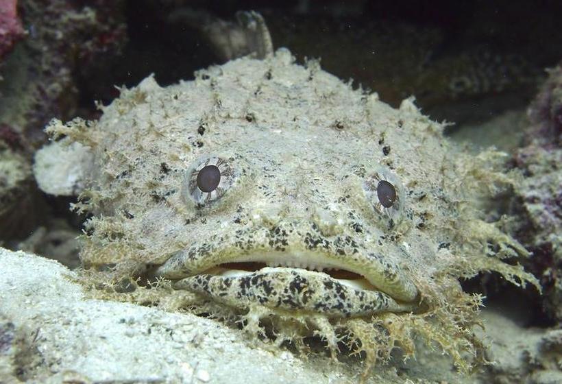 Hotel Casa Max | Bocas del Toro | Bocas del Toro | Panamá 20