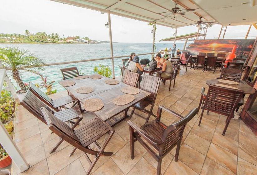 Hotel Bocas Paradise | Bocas del Toro | Bocas del Toro | Panamá 15