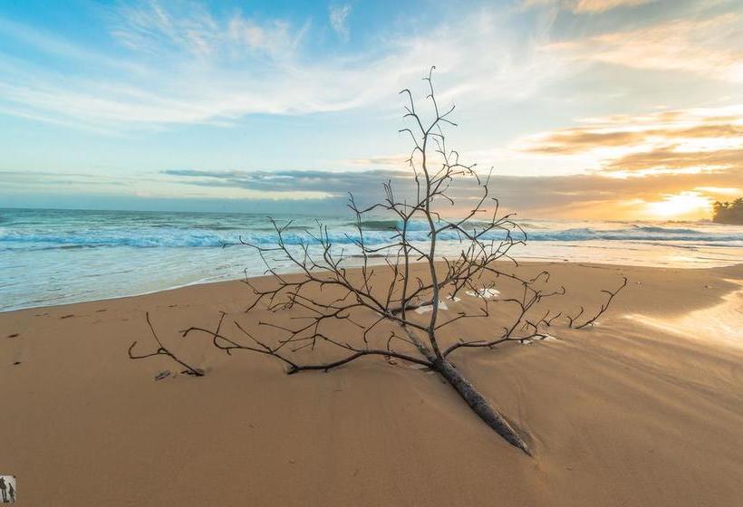 Hotel Bocas Paradise | Bocas del Toro | Bocas del Toro | Panamá 19