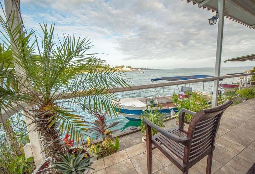 Hotel Bocas Paradise | Bocas del Toro | Bocas del Toro | Panamá 3