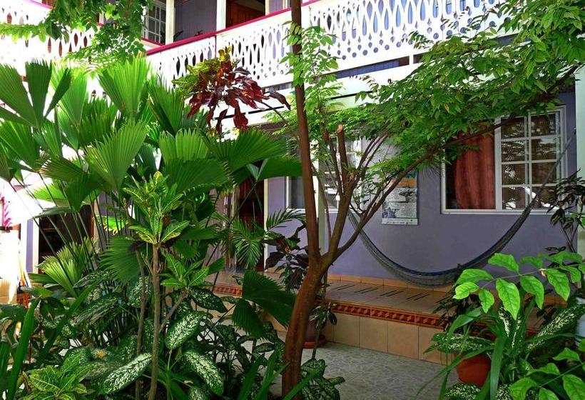 Hotel Posada Isla Chica | Bocas del Toro | Bocas del Toro | Panamá 4