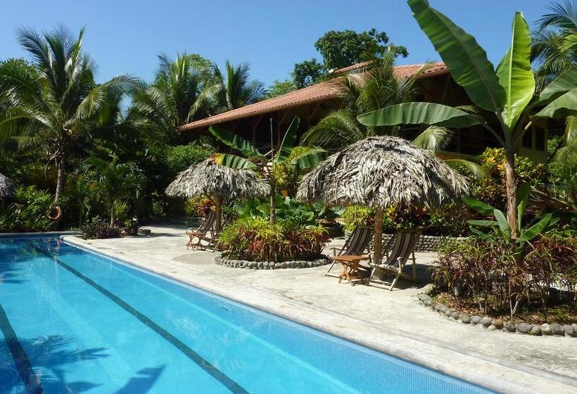 Bed and Breakfast Bluff Beach Retreat