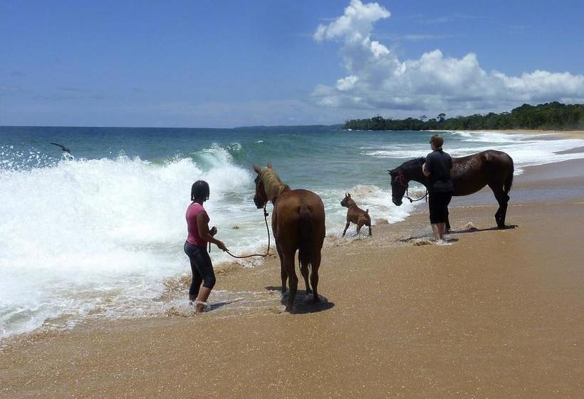 Bed and Breakfast Bluff Beach Retreat | Bocas del Toro | Bocas del Toro | Panamá 10