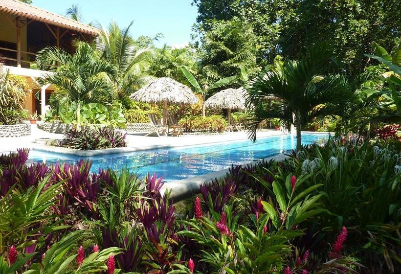 Bed and Breakfast Bluff Beach Retreat | Bocas del Toro | Bocas del Toro | Panamá 14