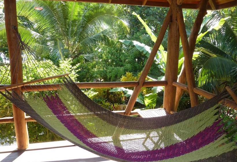 Bed and Breakfast Bluff Beach Retreat | Bocas del Toro | Bocas del Toro | Panamá 17