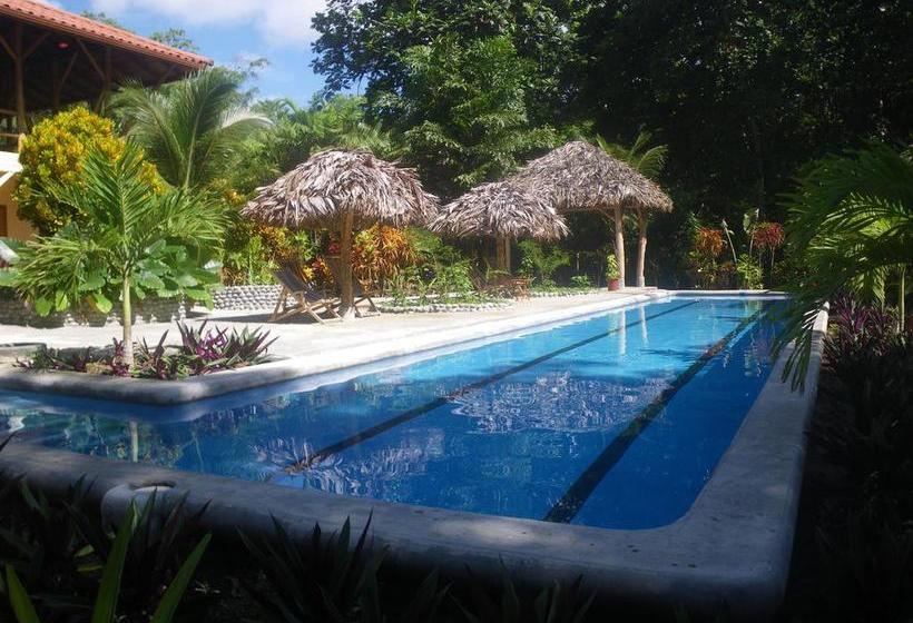 Bed and Breakfast Bluff Beach Retreat | Bocas del Toro | Bocas del Toro | Panamá 19