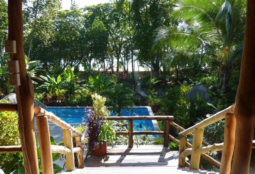 Bed and Breakfast Bluff Beach Retreat | Bocas del Toro | Bocas del Toro | Panamá 2