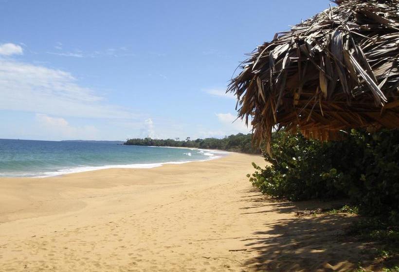 Bed and Breakfast Bluff Beach Retreat | Bocas del Toro | Bocas del Toro | Panamá 5