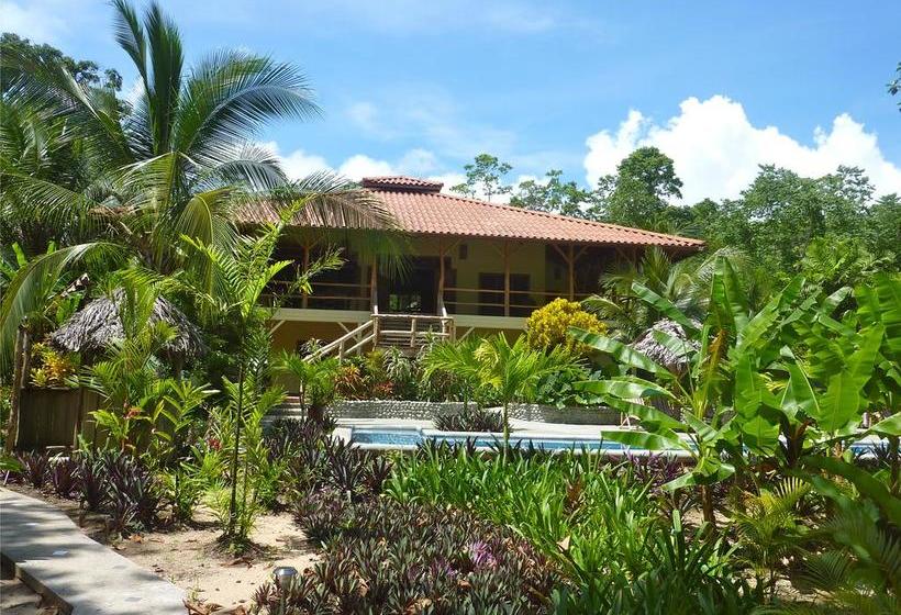 Bed and Breakfast Bluff Beach Retreat | Bocas del Toro | Bocas del Toro | Panamá 8
