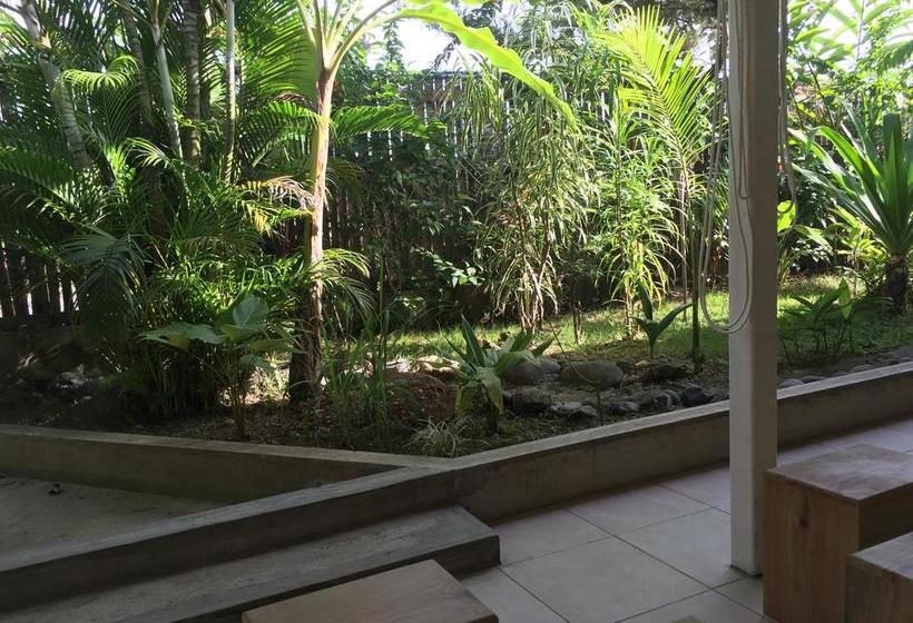 Hotel Stay Bocas | Bocas del Toro | Bocas del Toro | Panamá 11