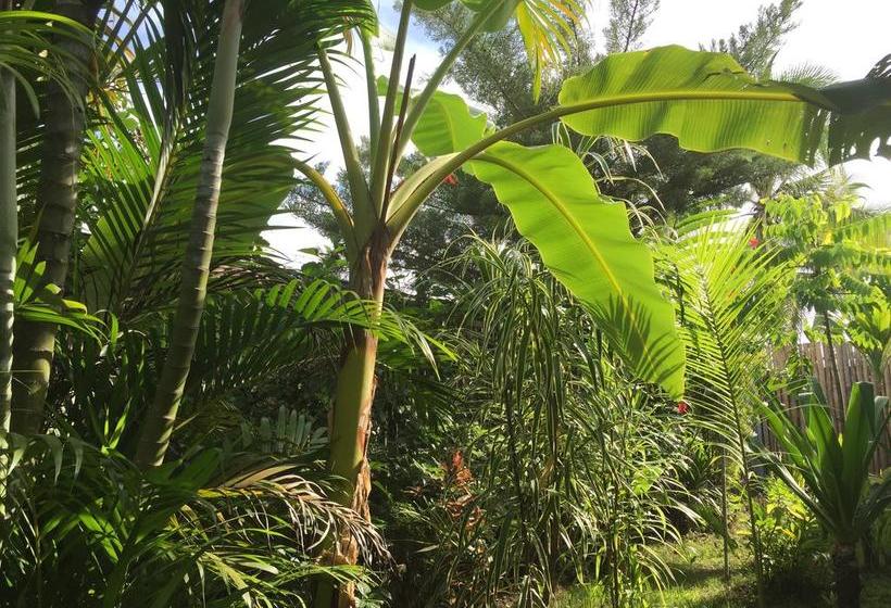 Hotel Stay Bocas | Bocas del Toro | Bocas del Toro | Panamá 12